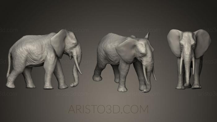 Animal figurines (STKJ_0260) 3D model for CNC machine